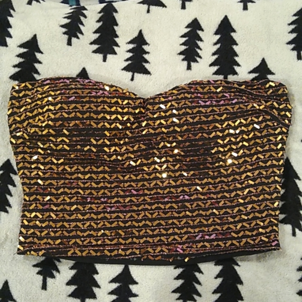 Shimmery Gold Strapless Crop Top